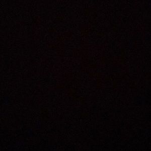 Meet your Posher, Rena